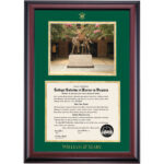 William & Mary Premier – The Marshall-Wythe Statues Diploma Frame
